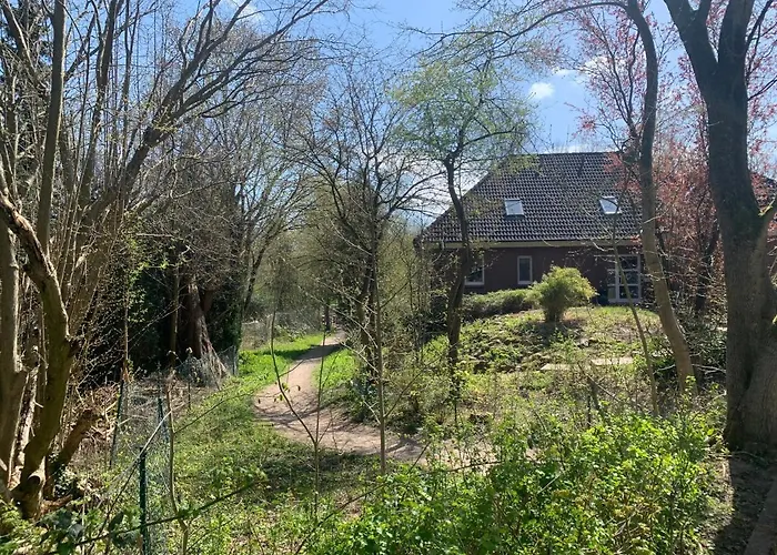 Sonniges Stadt-apartment In Ruhiger Parklage Bad Segeberg